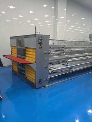 Quality A type layer cages factory