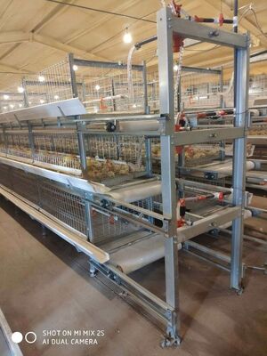 Quality Stacked broiler cage factory