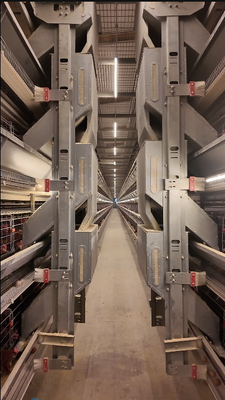 Quality Industrial Grade H-Type Stacked Battery Cages with Overseas Engineering Support factory