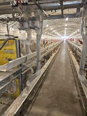 Quality Stack‑type Breeder Cage factory