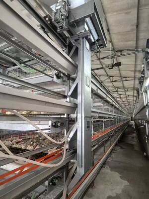 Quality H‑cage automatic feeding system factory